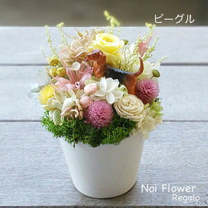 14܂ł̂͑ } d  ̃tBMAtyvU[uht[z v[g hV̓@Mtg _Et[ vU[uht[AW