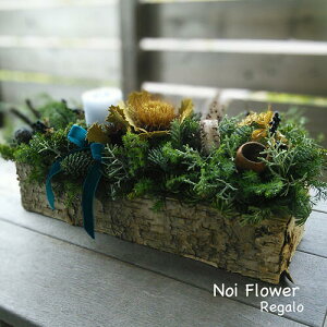  NX}X Lht hCɂȂ䂭~̖؂glȐԃAW Of  j a NX}X