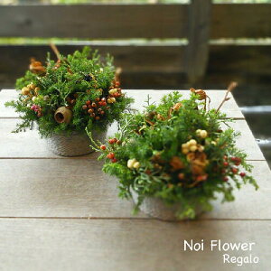  NX}X@jtƖ؂̎̑lNX}XAW a CeA CeAO[ NX}X 14܂ł̂őz@tCO[X I[ig