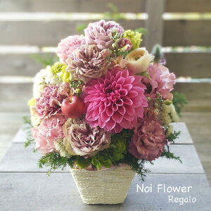  v[g NX}X sN_ȐԃAW  j a