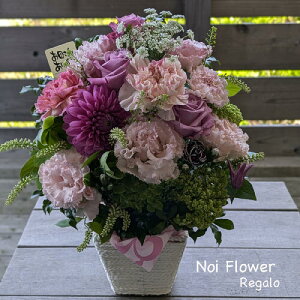 @v[g Mtg J[l[VgRLLẼsNOf[VԃAW  j a