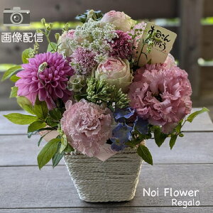 @v[g ̓ MtgTHANK YOU MAMAԃAW