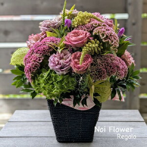 @yVsDǃVbv ԃAW o̍؂Ȃj a