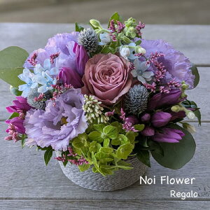 @yVsDǃVbv  AWg hV̓ v[g Mtg lC ̐ԃAW hV̓ Ê 