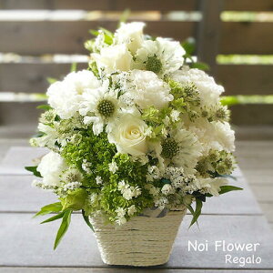 @yVVbvEIuUE}X ԃfUCi[CAW 5200~ j a  