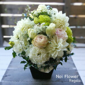 @yVsDǃVbv v[g ؂ȁIEEIEŜjԃAW  j a LO 99 100