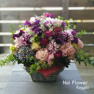 @Ij AC I v[g Mtg ԃfUCi[CAW 20000~  j@~ r