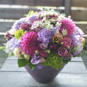 @ō݃WXgvCX yVsDǃVbv v[g _ȌËHE ̂jԃOfAW  j a LO