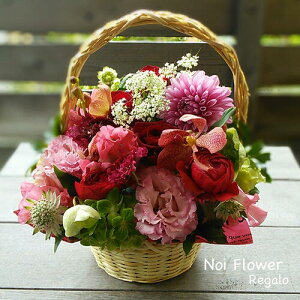 @Mtg RED REDԃAW  j a EFfBO @̓