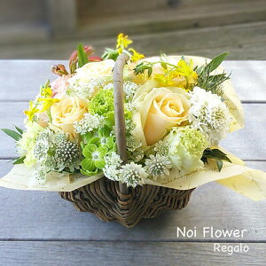 @yVsDǃVbv  AWgG߂̃o[Xf[t[̐ԃoXPbg  j a