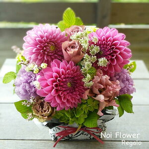 @yVsDǃVbv v[g փ_Ã_ԃAW  j a