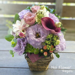 @yVs DǃVbv p[vONp[vԃAW j  