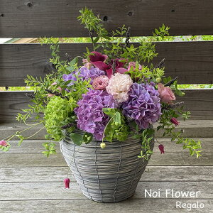 @Ij AC I ؂ȂjԃAW  j a Ij J