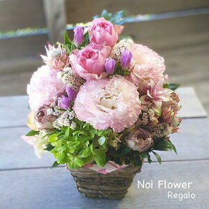 @yVsDǃVbv v[g v`_sN̐ԃAW ja 