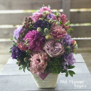 @yVsDǃVbv v[g VbN_ȃgRLLE̐ԃAW  j a