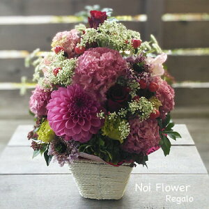 @v[g ԃAW ԃo [Xt[ GKg