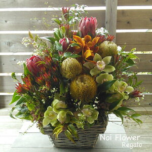 @Ij AC I v[g@Mtg Cht[g؂ȐԃAW \ a hV