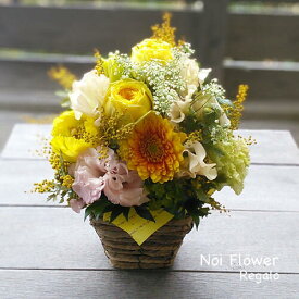 送料無料　楽天市場優良ショップ受賞 ミモザカラーの春色生花アレンジ お見舞い お祝い お誕生日