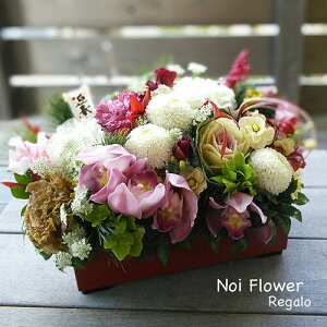 @a_ }tԃAW JAPAN XNGA  AWg  }t Vt VN Ε N