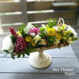 @a_ }tԃAW e[ut[ OX AWg  }t Vt VN Ε EN