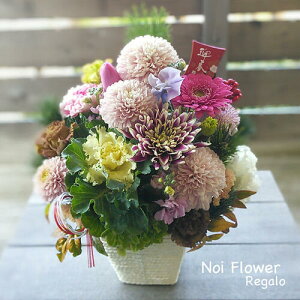 @a_̐ԃAW Vt N }t Ε  AWg 