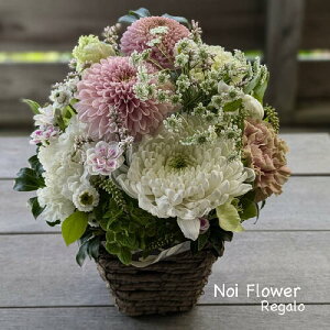 @~  zCg&sNԃAW   ފ V~ ~ mԂg{̂܂ԁyԁz    @   @v ~ ~ 