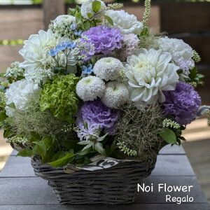 @ AWg hV̓ s|}̃_Zj[ԃAW mԂg{̂܂ԁyԁz   @   @v ~ 