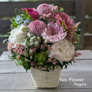 @yVsDǃVbv ̓ ͂V̂ꂳ֐ԃAW v[g  mԂg{̂܂ԁyԁz   @   @v 