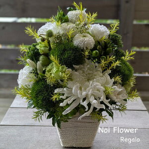 @~  O[̂ݐԃAW ̓ mԂg{̂܂ԁyԁz   @   @v ~ ~ ފ  r