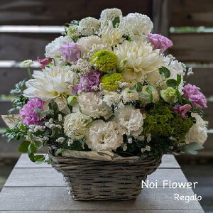 @~  VbNȂ݂̐ԃAW   ފ V~ ~  mԂg{̂܂ԁyԁz    @   @v 