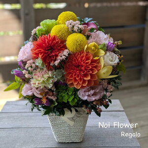 @~  gF̃Zj[ԃAW    mԂg{̂܂ԁyԁz    @   @v ~ ~ ފ 