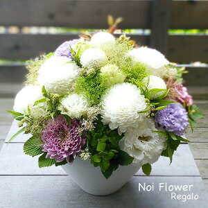 @~  ފ V~⋌~ɂ ݂̉ԁ@_ȗmԂ݃AW  mԂg{̂܂ԁyԁz   @   @v 