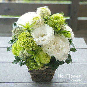 @zCg&O[̃{[ԃAW V~~ ފ   j j mԂg{̂܂ԁyԁz    @  