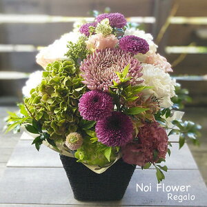 @yVsDǃVbv IG^_ԃAW  mԂg{̂܂ԁyԁz    @   @v ~ ~ ފ 