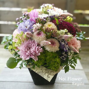 @~  ފ V~⋌~ɂ ݂̉ԁ@fUCi[CAW 8600~  mԂg{̂܂ԁyԁz    @   @v 