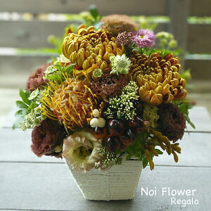 @Gߌ փ}ƃsNbV̐ԃAW mԂg{̂܂ԁyԁz   @   @v ~ ~ ފ  r