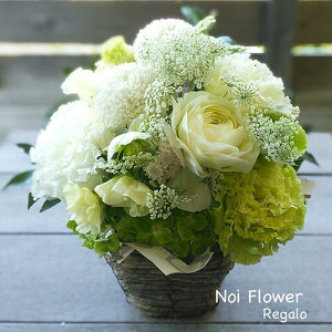 @^ȃzCgԃAW ފ V~ ~   v[g Mtg  mԂg{̂܂ԁyԁz    @   @v