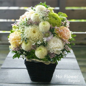 @~  ފ V~⋌~ɂ am_ȃZj[ AW mԂg{̂܂ԁyԁz    @   @v ~ ~ 