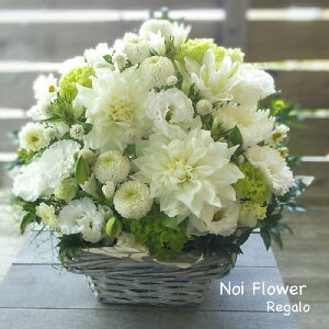 @yVsDǃVbv ݂̉ԁ@fUCi[CAW 13000~   mԂg{̂܂ԁyԁz    @   @v 