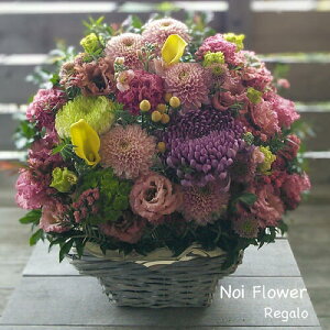 @yVsDǃVbv ݂̉ԁ@fUCi[CAW 13000~   mԂg{̂܂ԁyԁz    @   @v 