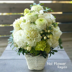  ~  zCgzCgԃAW   ފ V~ ~ mԂg{̂܂ԁyԁz    @   @v ~ ~ 