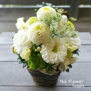 @~  u₩ȃzCgԃAW  j a  mԂg{̂܂ԁyԁz    @   @v ~ ~ 