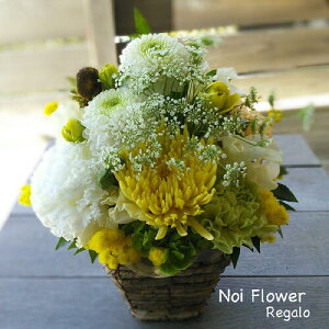 @ AWg ԁ@zCg&O[CG[ԃAW j mԂg{̂܂ԁyԁz   @   @v ~ ~ 