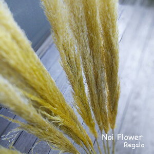 lC ppXOX 1{ CeA CeAO[ ԍ