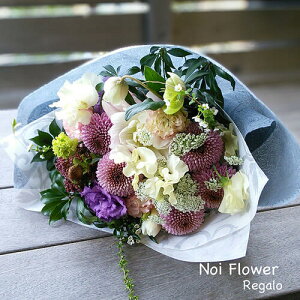 @~  ފ V~⋌~ɂ ݂̉ԁ@fUCi[CAW 8600~  mԂg{̂܂ԁyԁz    @   @v 