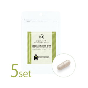 noi YC`E̗t + |_ + L-Jj` 5Zbg