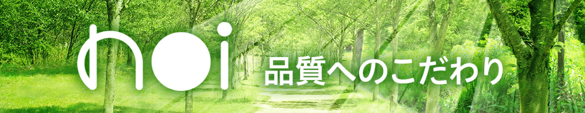 noiとは