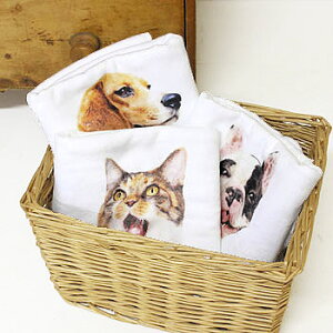 �ys50�z�y�G�t�B���{��/.efiLevol �zANIMAL Bath Towel �A�j�}���o�X�^�I���y�L�����Z���ԕi�����s�z�ylet�z�ynx�z