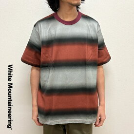 【s20】【ホワイトマウンテニアリング/White Mountaineering】GRADIENT STRIPE T-SHIRT [WM2571529]【キャンセル返品交換不可】【let】【id】