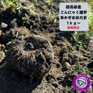 こんにゃく種芋 群馬県産 あかぎおおだま 二年子 生子あがり 1kg（約5個）から5kg